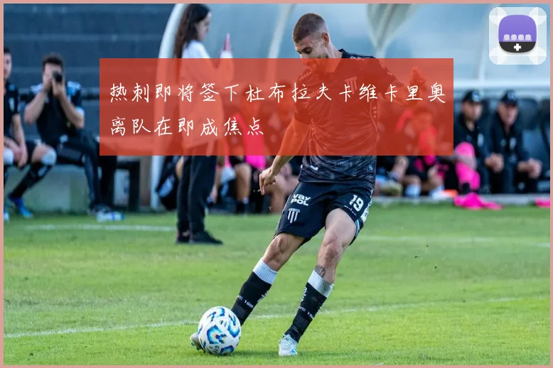 热刺即将签下杜布拉夫卡维卡里奥离队在即成焦点