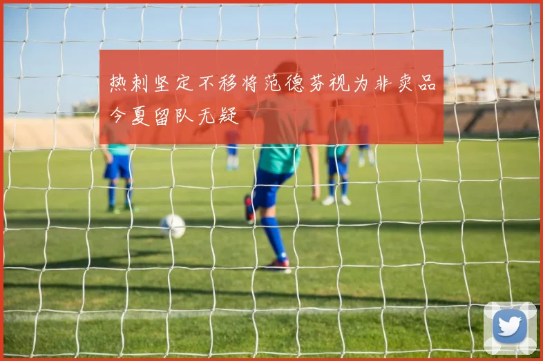 热刺坚定不移将范德芬视为非卖品今夏留队无疑