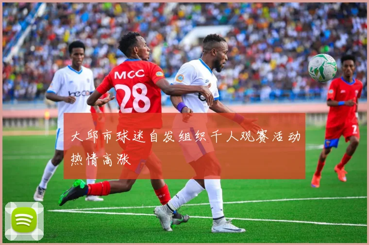大邱市球迷自发组织千人观赛活动热情高涨